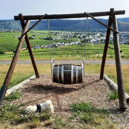 Appartement Biggi Trittenheim