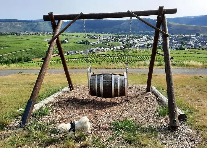 Lägenhet Biggi Trittenheim