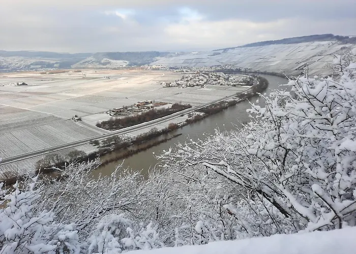 Lägenhet Biggi Trittenheim